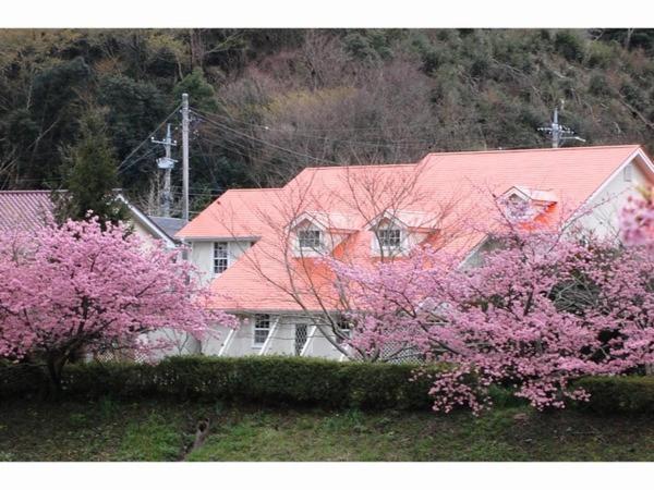 Pension Hidamari Minamiizu Εξωτερικό φωτογραφία
